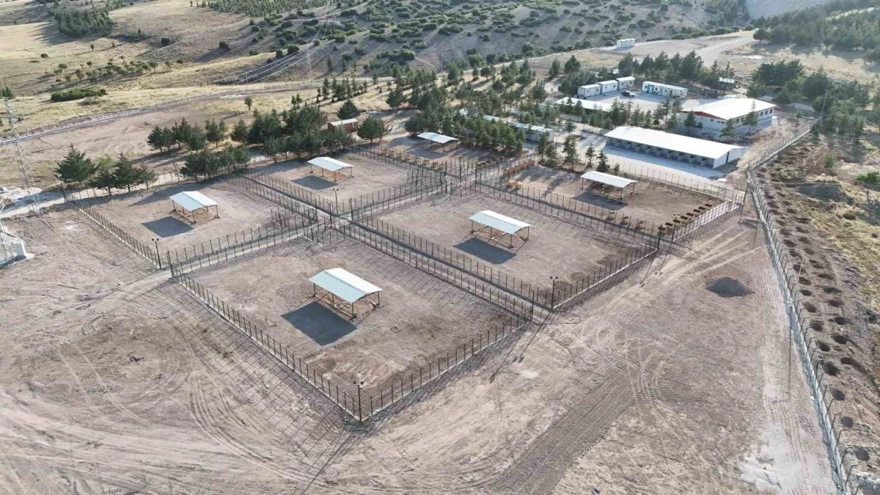 Burdur’da sahipsiz hayvanlar için modern rehabilitasyon ve doğal yaşam tesisi açıldı
