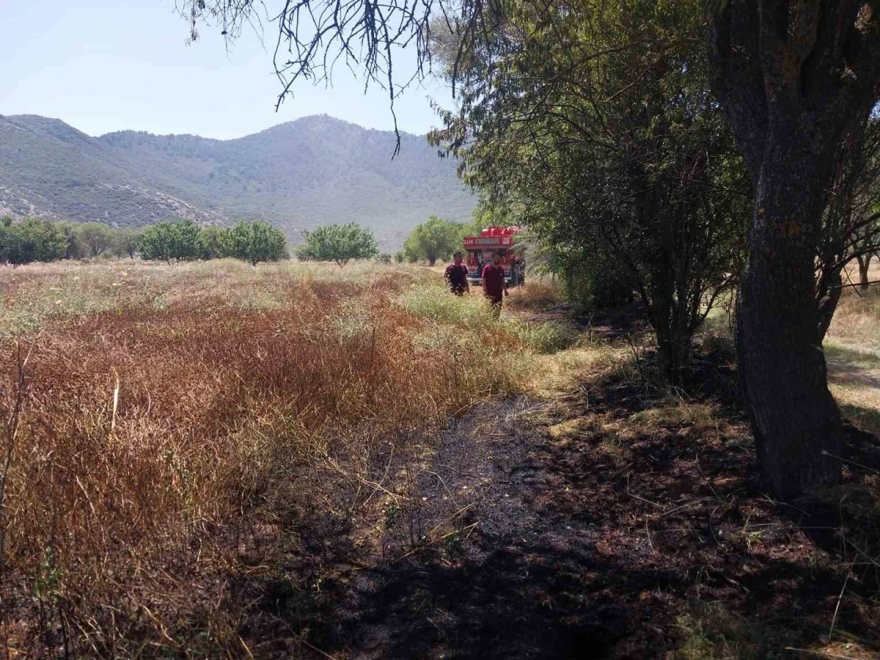 Burdur&rsquo;da tarlada yangın
