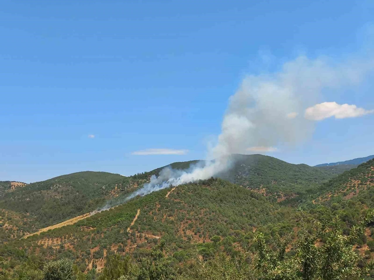Burhaniye&rsquo;de &ccedil;ıkan orman yangını kontrol altına alındı
