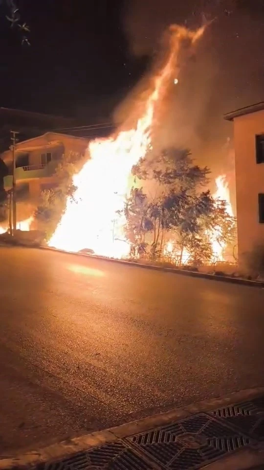 Bursa’da alev alan ağaçlar villaları böyle tehdit etti