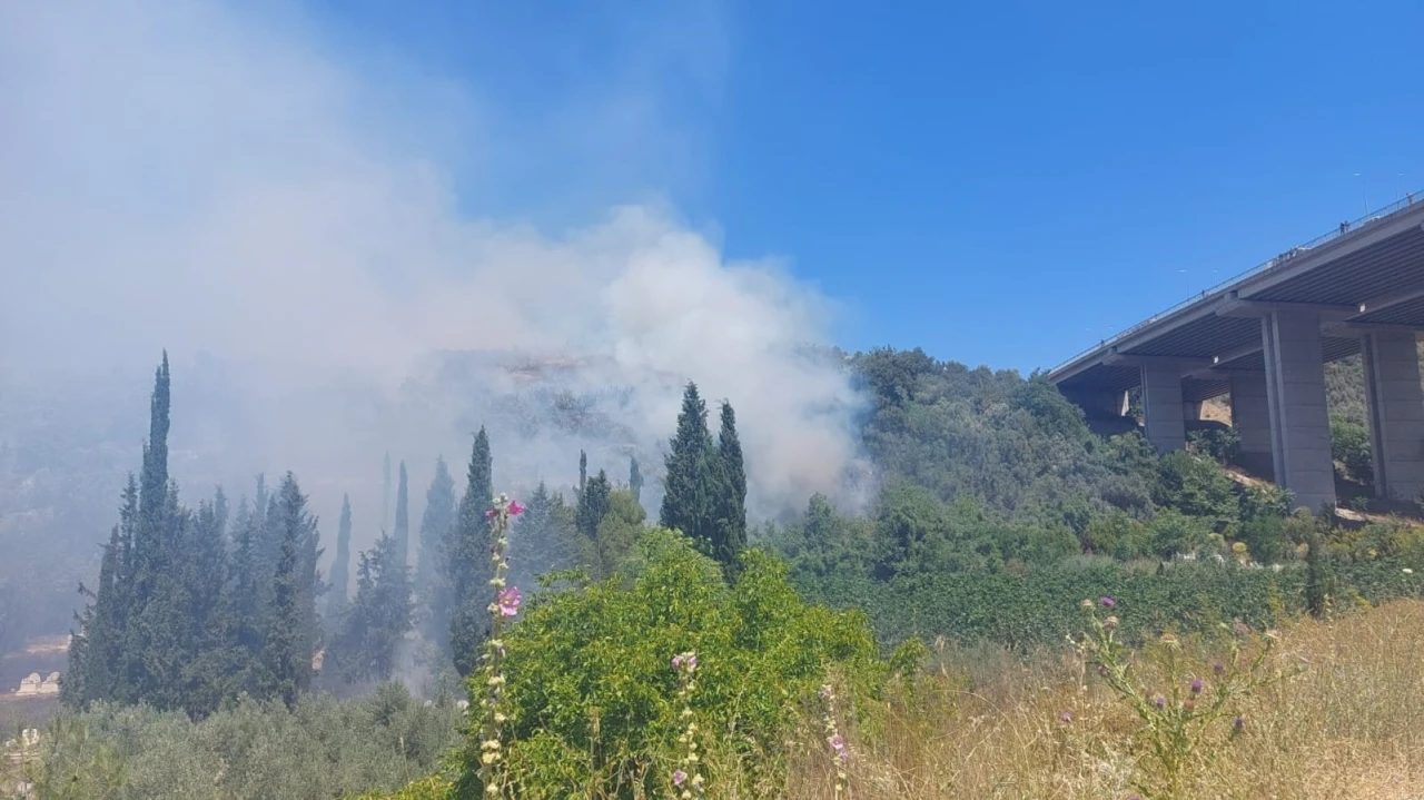 Bursa’da çam ormanı yanıyor
