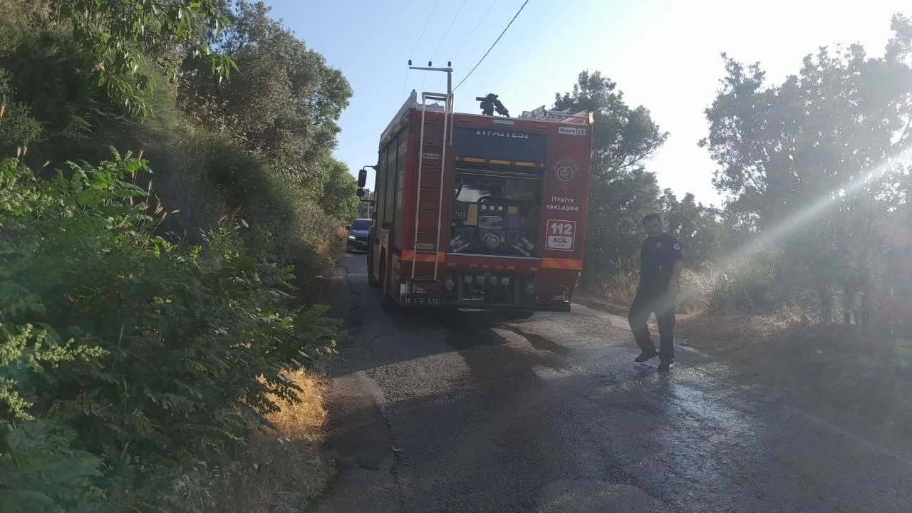 Bursa’da karga yangına neden oldu
