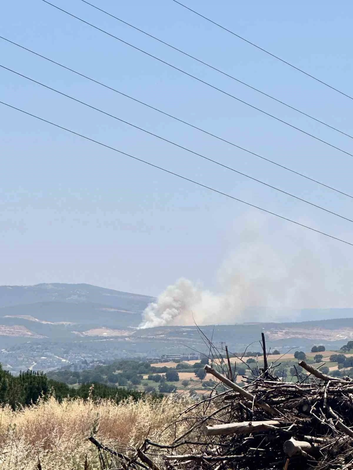 Bursa’da Kayapa bölgesinde orman yangını
