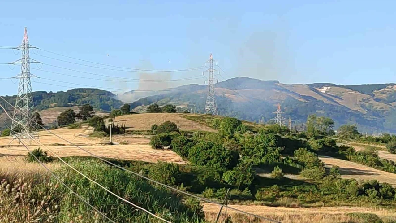 Bursa’da orman yangını
