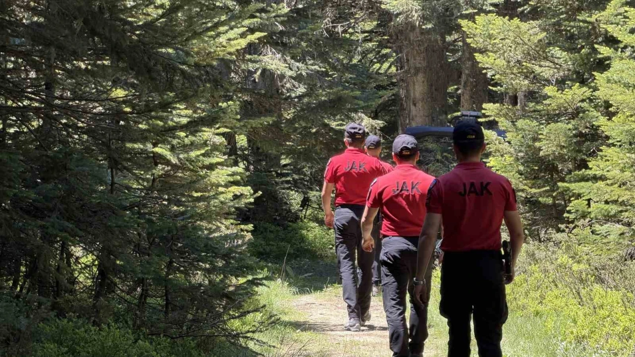 Bursa&rsquo;da ormanlara girişler yasaklandı
