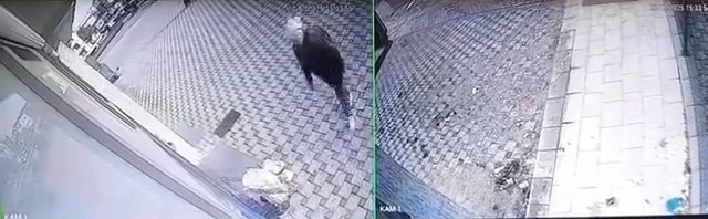 Bursa&rsquo;da pazar arabası hırsızlığı
