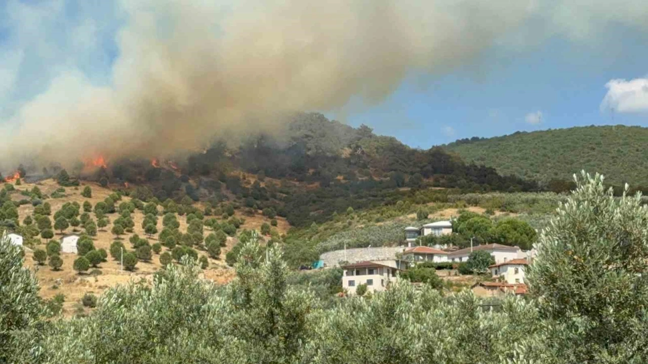 Bursa İznik’te büyük orman yangını
