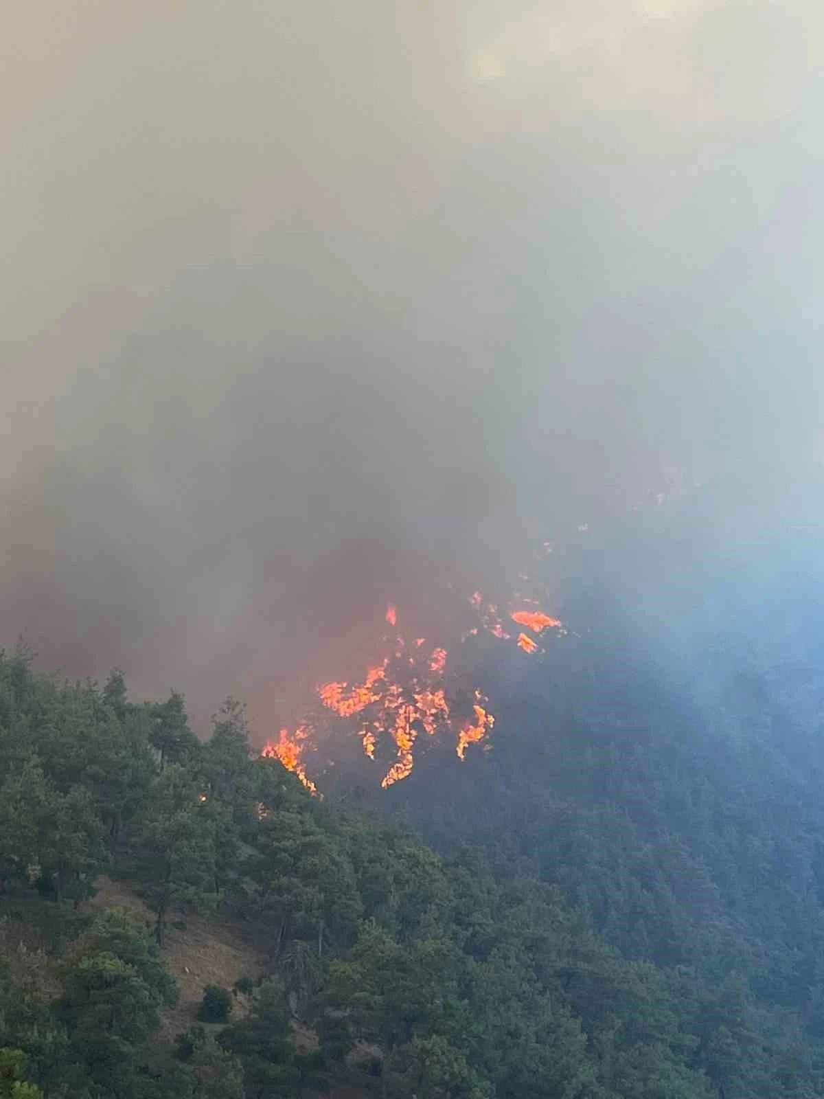 Bursa’nın ciğerleri yanıyor
