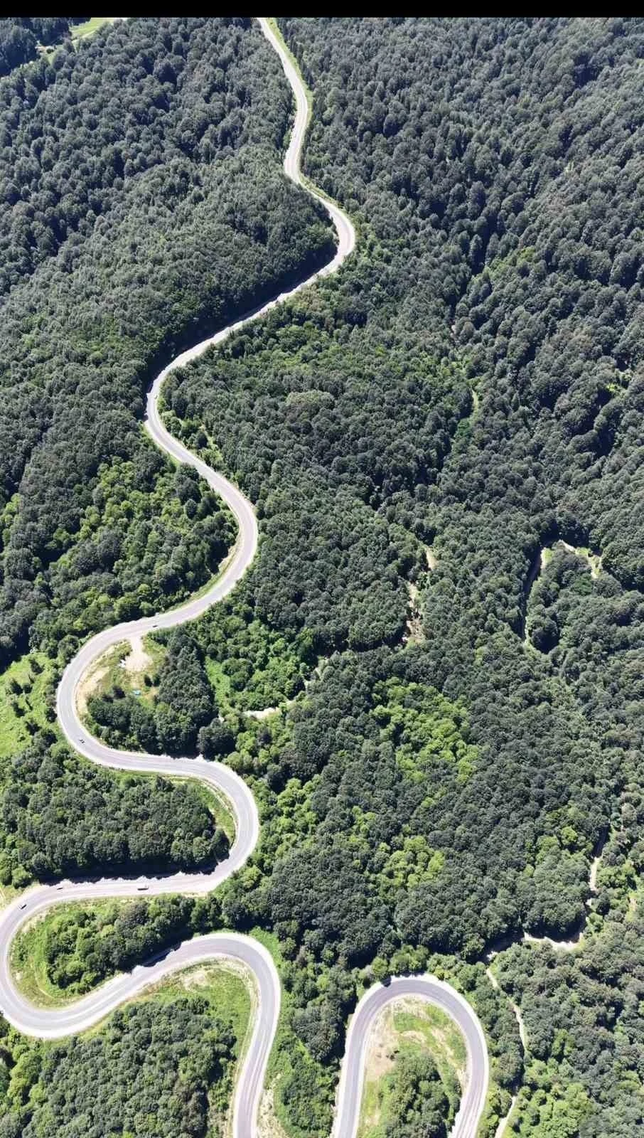 Bursa ormanlarında kartpostallık g&ouml;r&uuml;nt&uuml;ler
