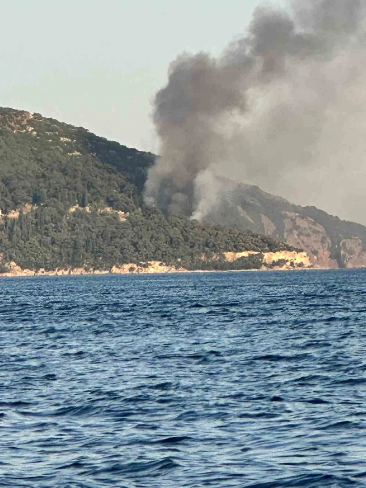 B&uuml;y&uuml;kada&rsquo;da plajda yangın paniği

