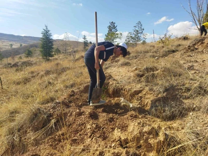 B&uuml;y&uuml;kşehir Belediyesi İl&ccedil;eleri 22 bin Fidan İle Buluşturacak
