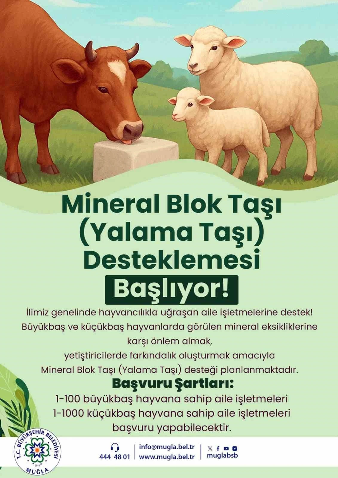 Büyükşehir’den hayvanlara yalama taşı desteği
