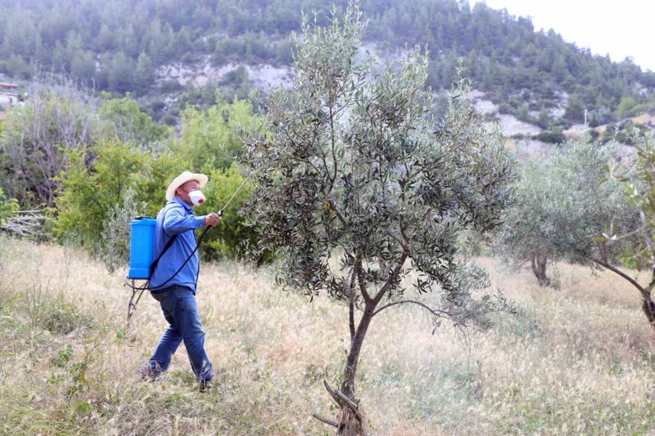 Büyükşehir, dolu felaketinin yaralarını sarıyor
