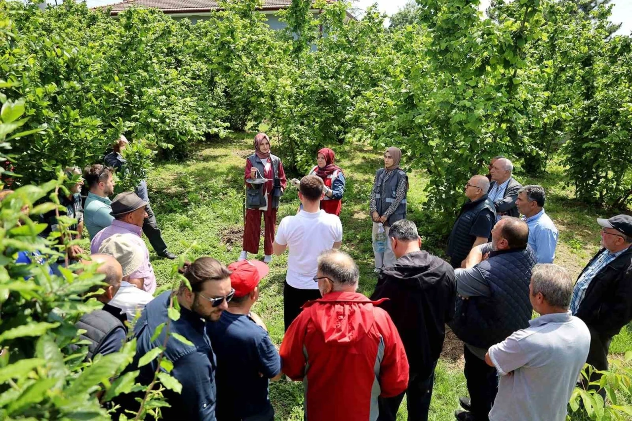 B&uuml;y&uuml;kşehir&rsquo;in 2025 tarım raporu: 810 noktada toprak analizi yapıldı
