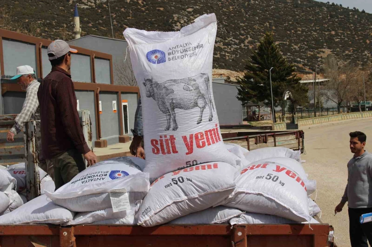Büyükşehir’in üreticilere yem desteği sürüyor