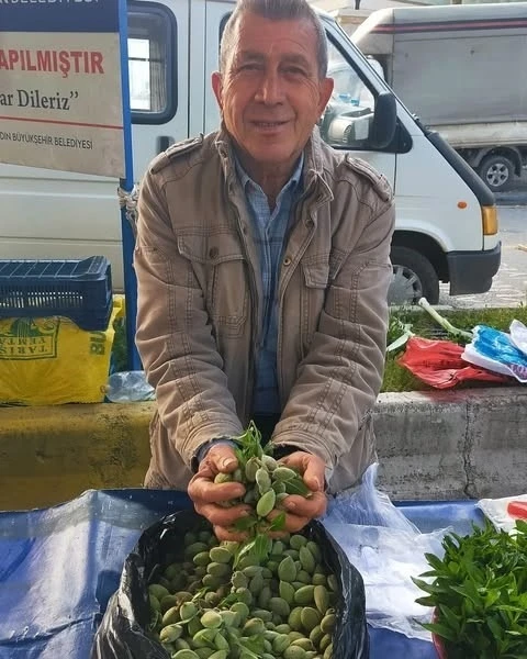 Çağla, Aydın’daki tezgahlarda yerini aldı: Kilosu 250 lira
