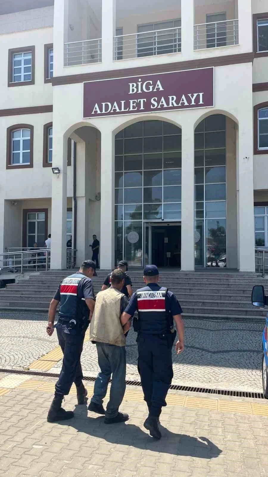 Çanakkale’de arazide 77 kök kenevir ele geçirildi: 1 tutuklama
