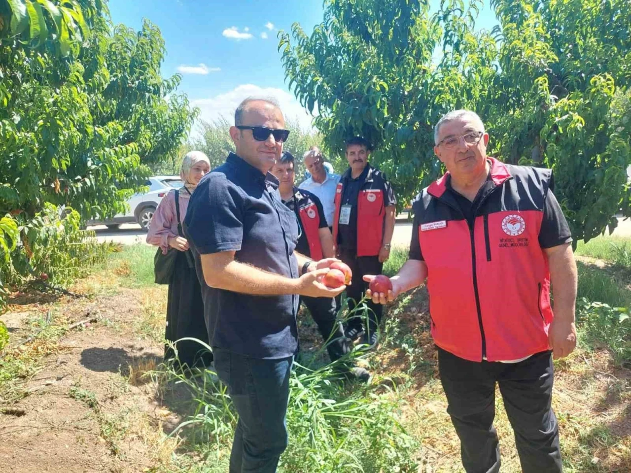 &Ccedil;anakkale&rsquo;de bitkisel &uuml;retim projeleri değerlendirildi
