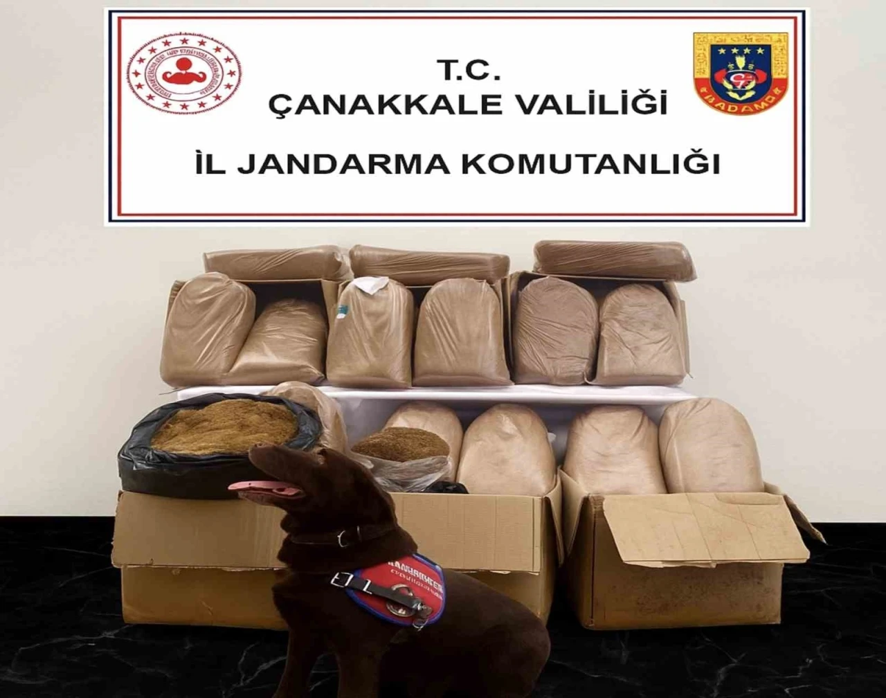 Çanakkale’de kaçakçılık operasyonu
