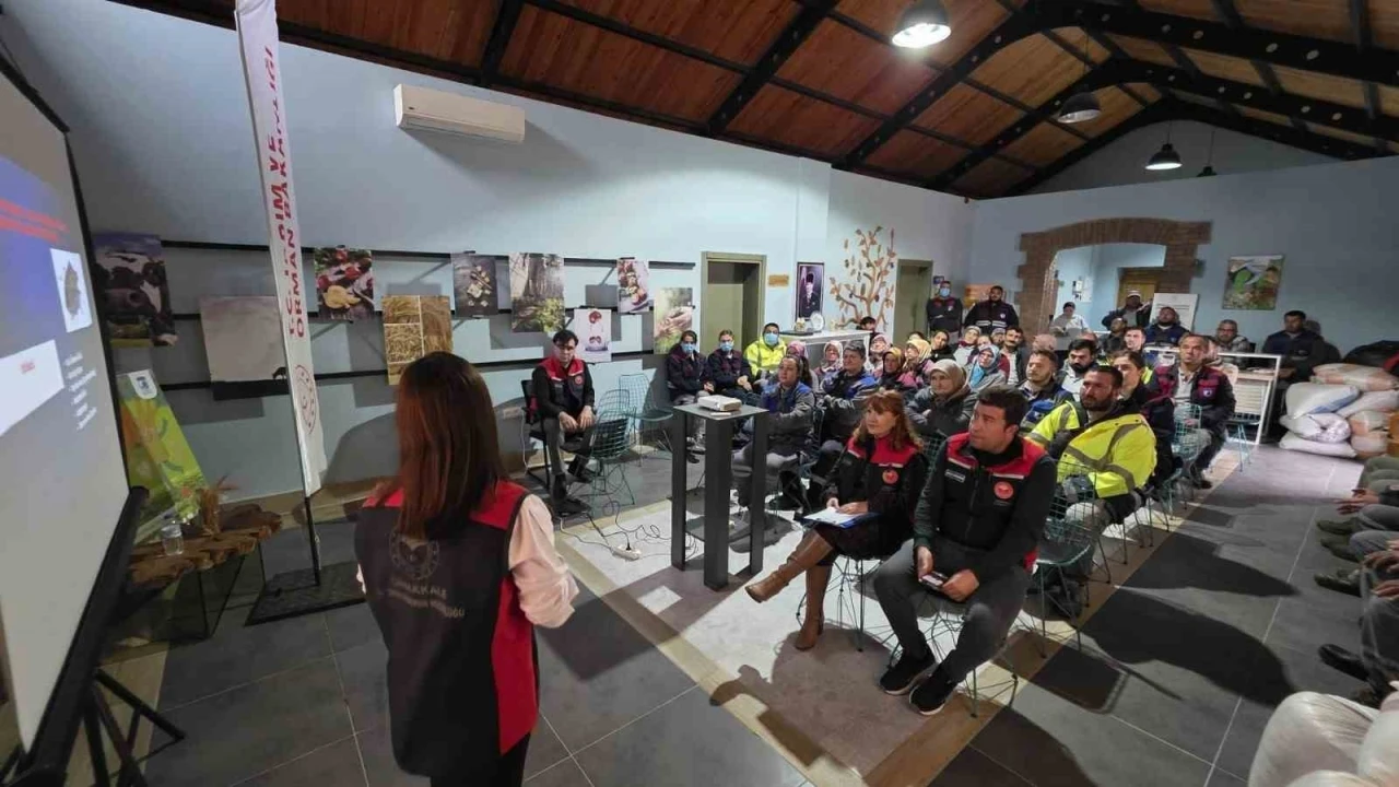 Çanakkale’de kahve rengi kokarcalarla 4 bin samuray arısı mücadele edecek
