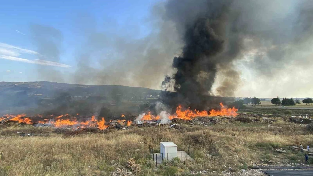 Çanakkale’de korkutan yangın
