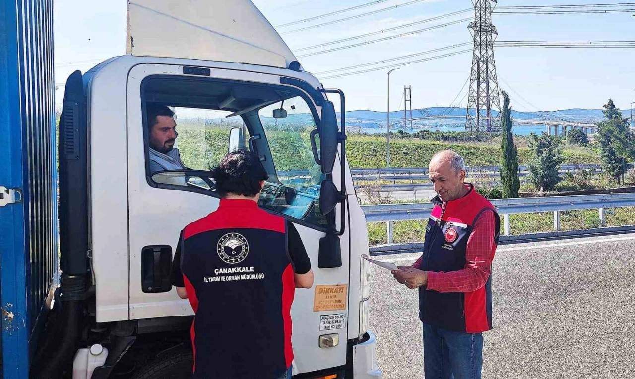 Çanakkale’de kurban bayramı öncesi hayvan denetimleri devam ediyor

