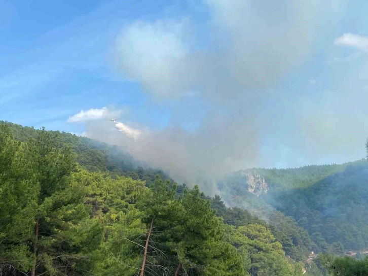 Çanakkale’de orman yangını
