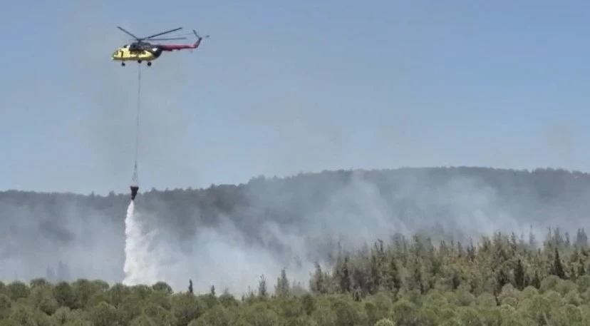 Çanakkale’de orman yangını

