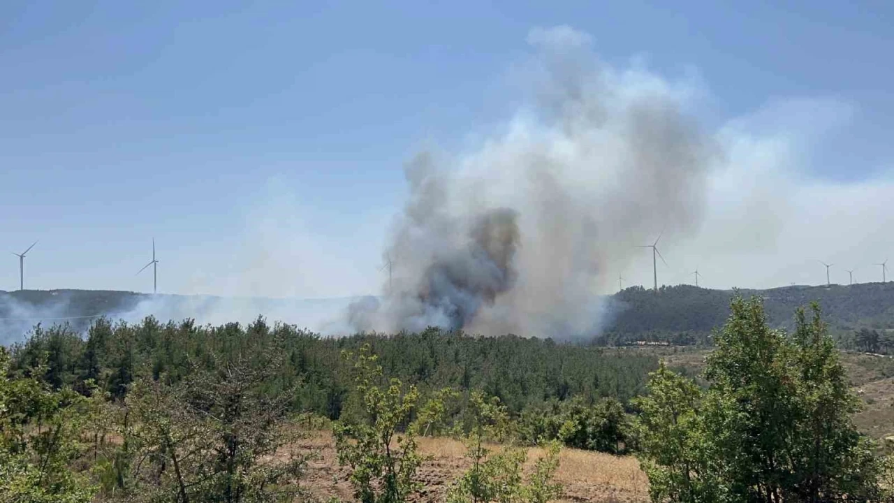Çanakkale’de orman yangını
