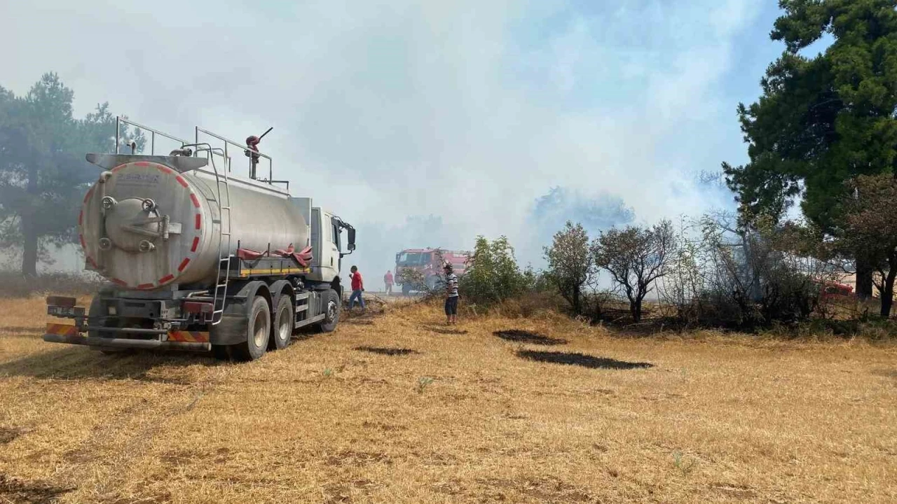 Çanakkale’de orman yangını kontrol altına alındı
