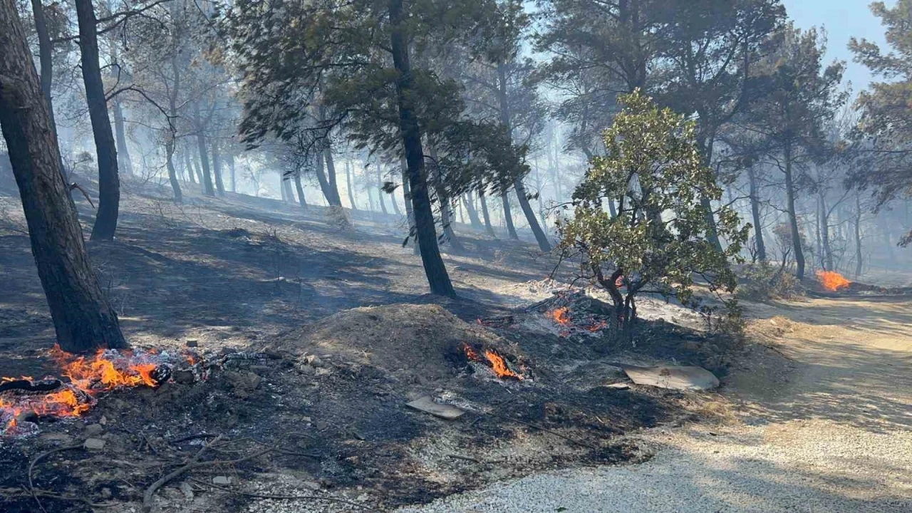 Çanakkale’de ormanlık alana sıçrayan yangında villalar yandı
