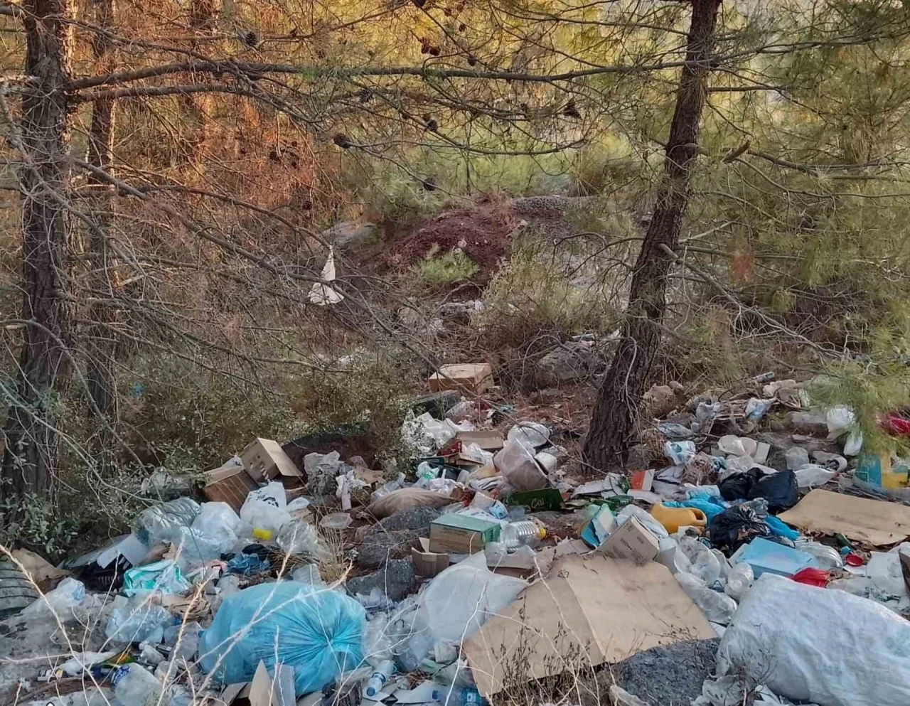 Çanakkale’de ormanlık alanlar çöpten geçilmiyor
