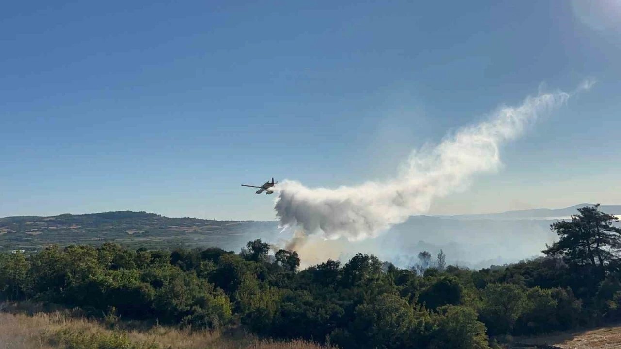 Çanakkale’de tarım arazisinde başlayarak ormanlık alana sıçrayan yangın kontrol altına alındı
