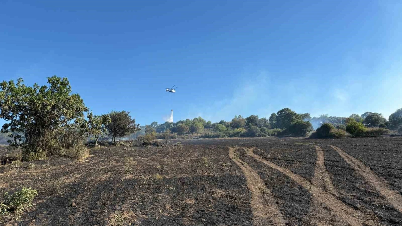 Çanakkale’de tarım arazisinde çıkan yangın kontrol altına alındı

