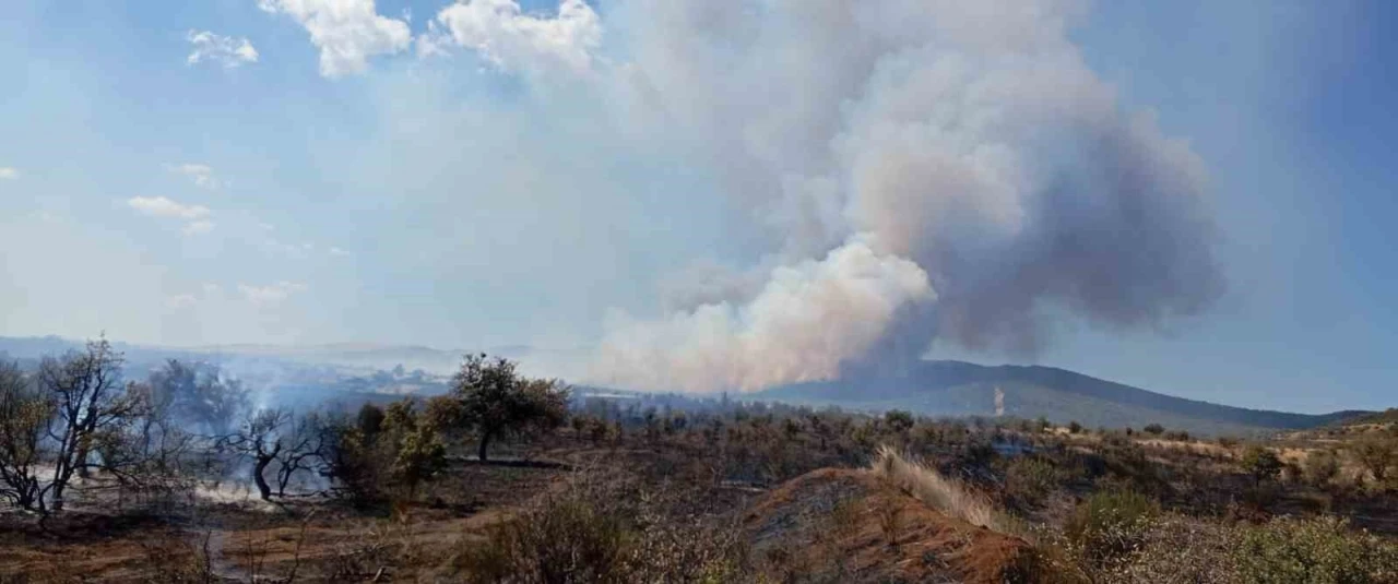 Çanakkale’de tarım arazisinde yangın
