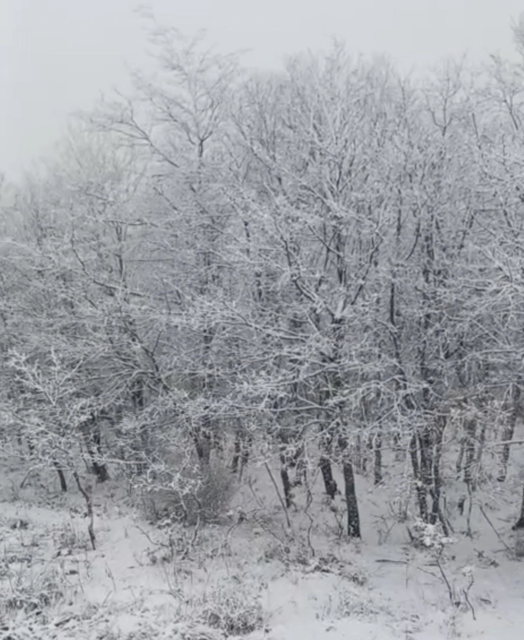&Ccedil;anakkale&rsquo;de y&uuml;ksek kesimler beyaza b&uuml;r&uuml;nd&uuml;
