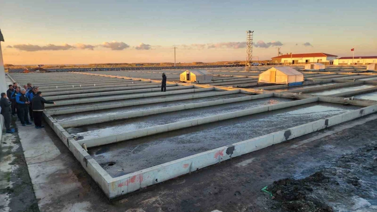 Çanakkale’deki deniz solucanları yetiştiriciliği tesisi sektörde tek
