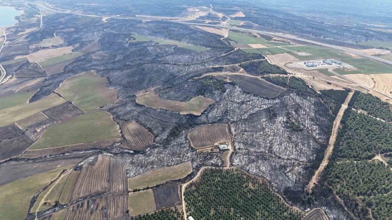 Çanakkale’deki orman yangını kontrol altına alındı
