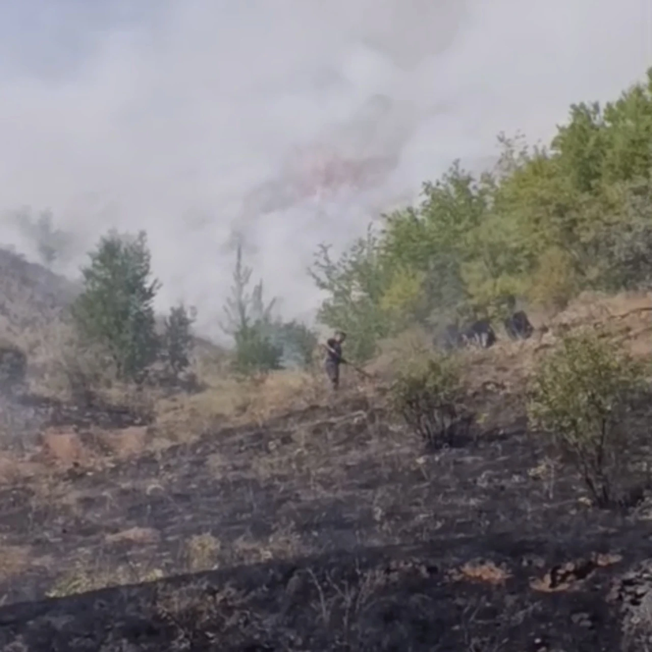 &Ccedil;ankırı&rsquo;da &ccedil;ıkan arazi yangını s&ouml;nd&uuml;r&uuml;ld&uuml;

