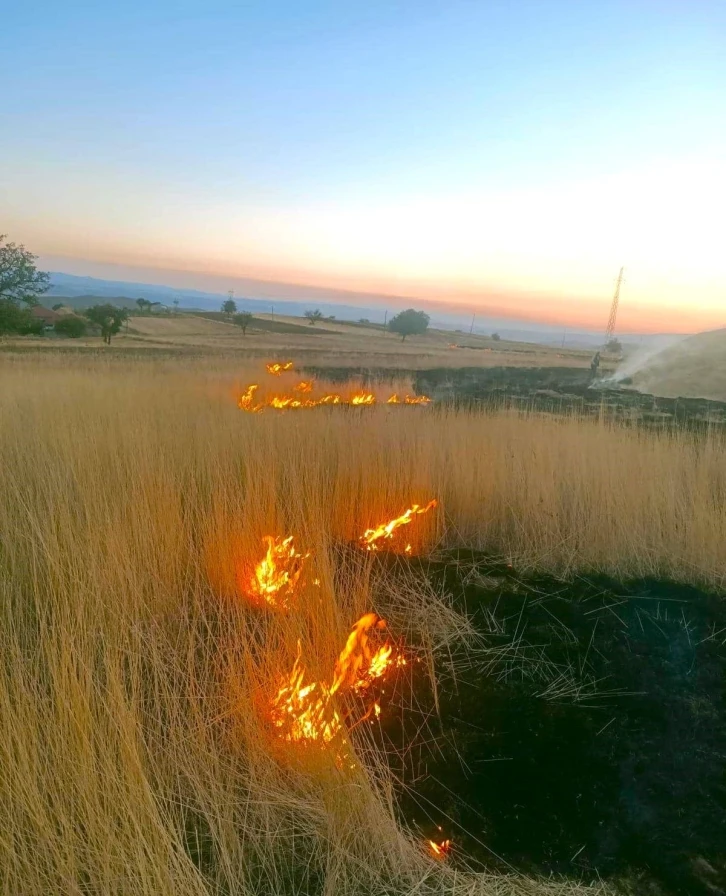 &Ccedil;ankırı&rsquo;da ot yangını
