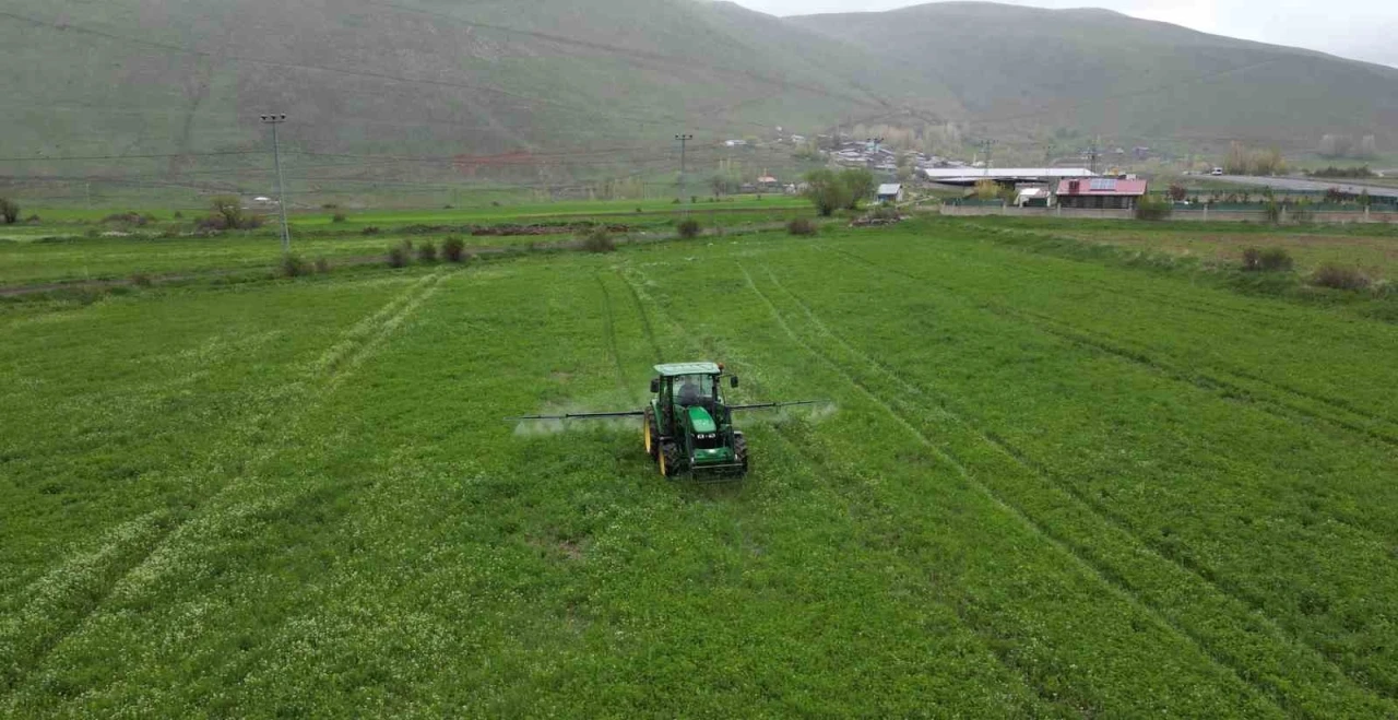 Cann gübre Erzurum çiftçisine can simidi oldu
