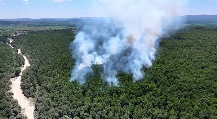 &Ccedil;atalca Ormanlı&rsquo;da orman yangını havadan ve karadan m&uuml;dahaleyle s&ouml;nd&uuml;r&uuml;ld&uuml;
