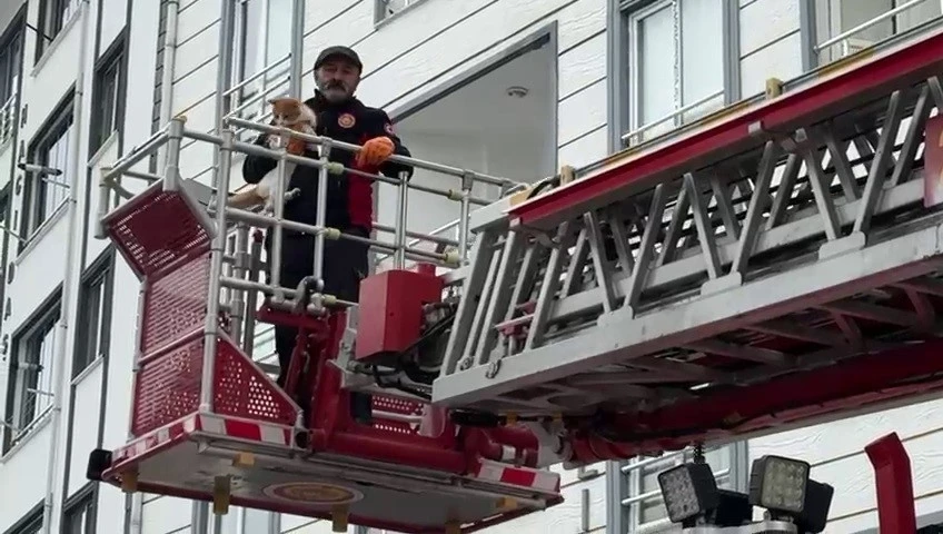 &Ccedil;atıda mahsur kalan kedi kurtarıldı
