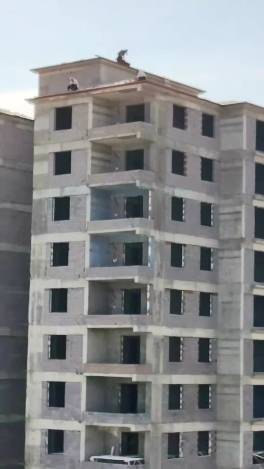 Çatıda tehlikeli çalışma
