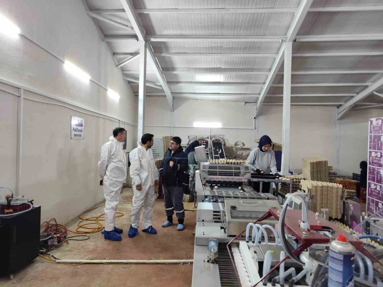 &Ccedil;avdarhisar&rsquo;da ticari yumurtacı kanatlı işletmesinde inceleme
