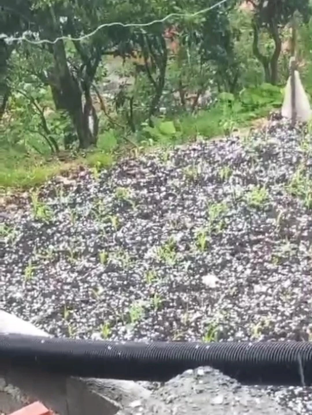 Çay üreticilerine dolu sürprizi
