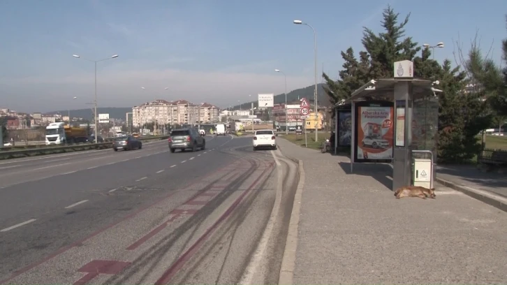 &Ccedil;ekmek&ouml;y&rsquo;de &uuml;niversite harcını yatırmaya giden gen&ccedil; kıza otomobil &ccedil;arptı
