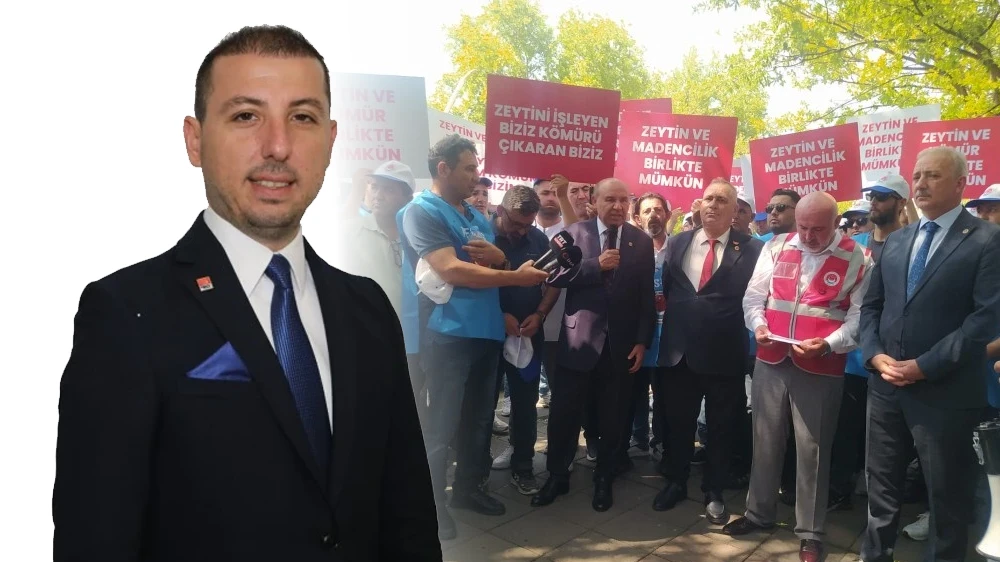 CHP'den AK Parti'ye Zeytinlik Tepkisi