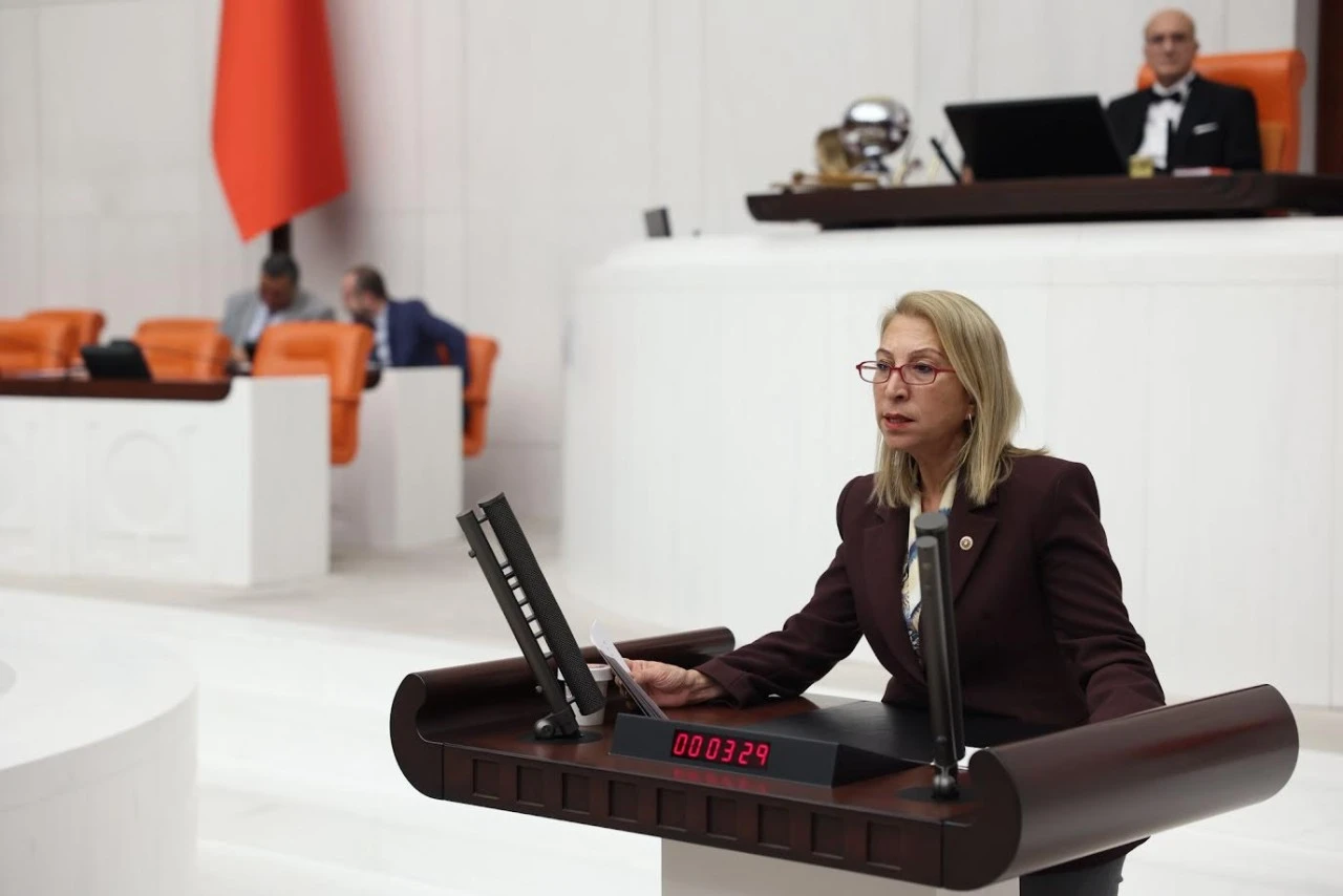 CHP&rsquo;li Derici: Y&uuml;k Artıyor B&uuml;t&ccedil;e Yok