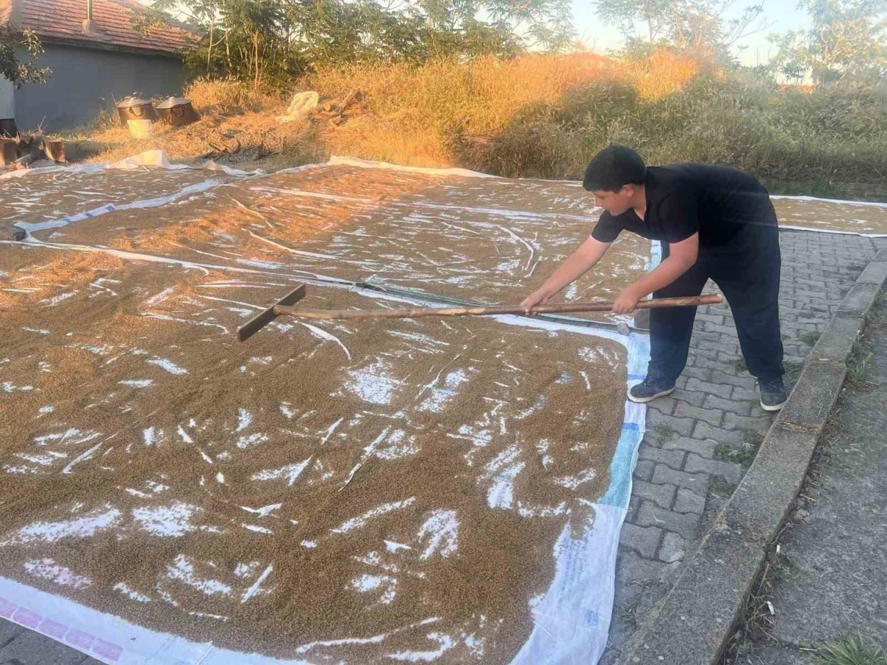 &Ccedil;i&ccedil;ekdağı il&ccedil;esinde geleneksel bulgur yapımı başladı
